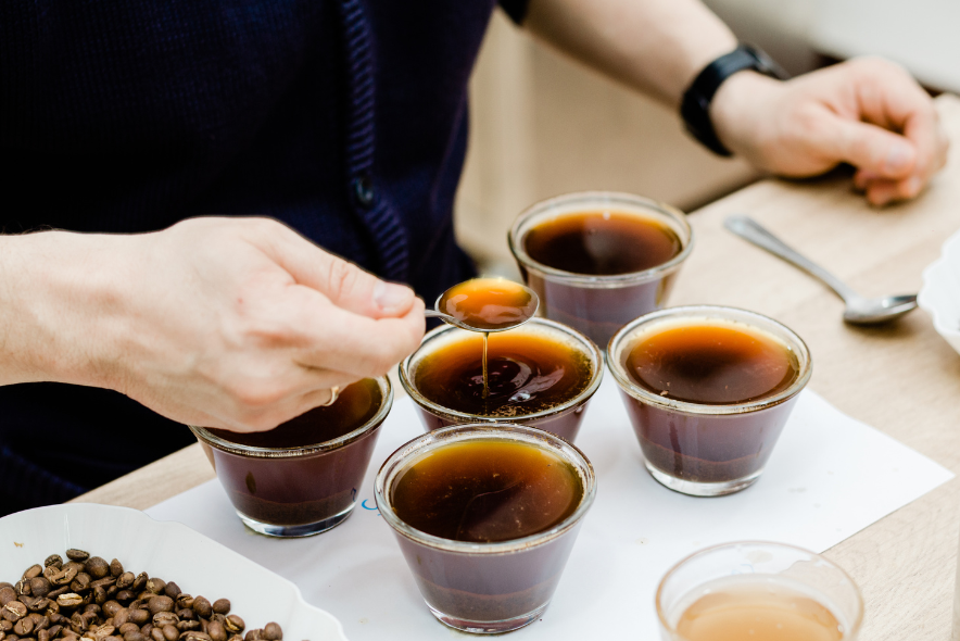 Picture of coffee samples being tasted for quality