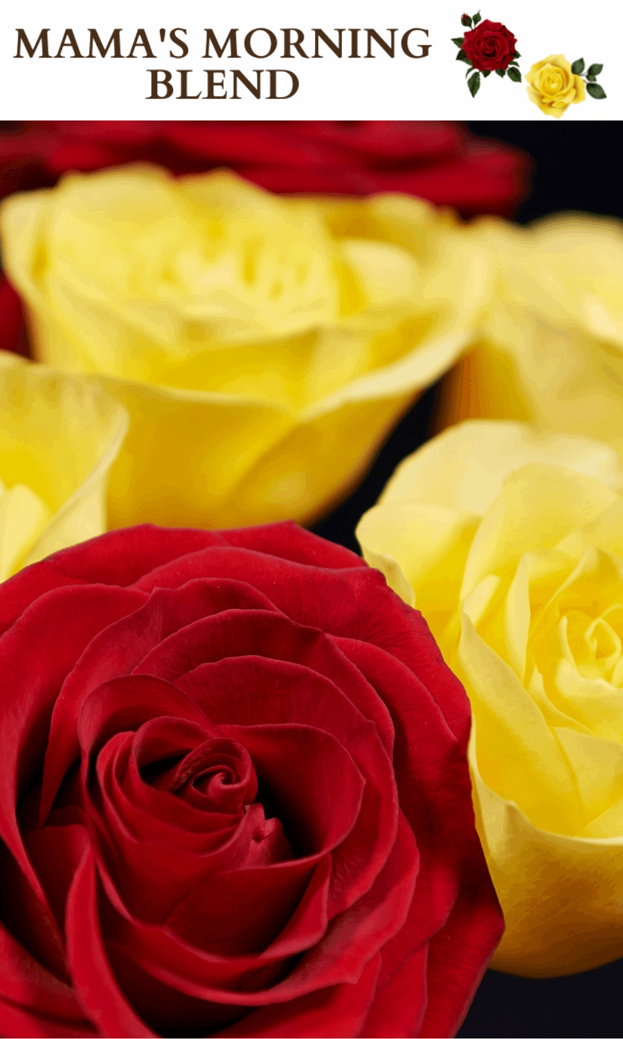 Up close picture of yellow and red roses